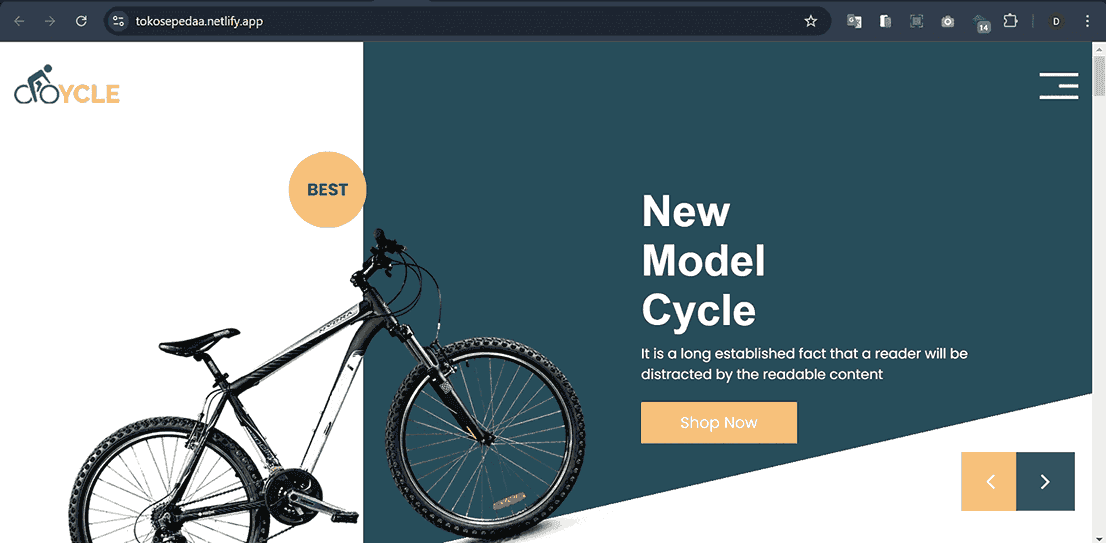 Bicycle Store Website - Landing Page